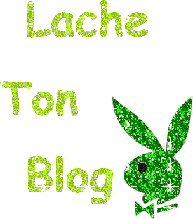 lachez vos blog