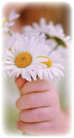 fleur